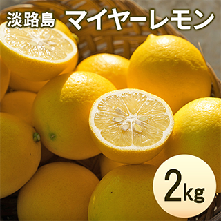 淡路牛