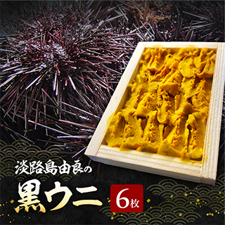 淡路島由良の黒ウニ 【6枚】