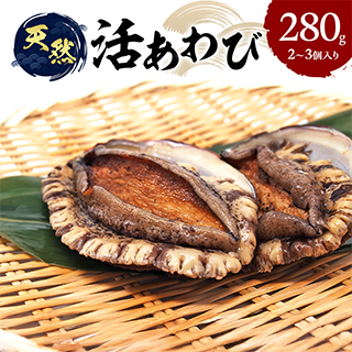 天然 活あわび 2～3個入り