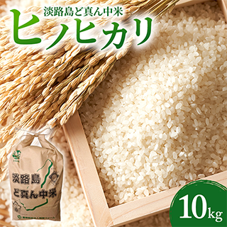 令和7年度産 淡路島 ど真ん中米 ヒノヒカリ 10kg 