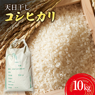 天日干し コシヒカリ 10kg