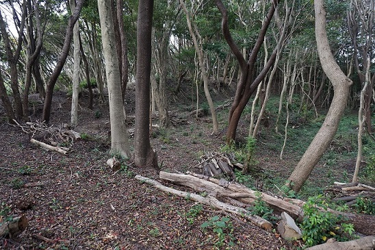 炬口城跡の画像