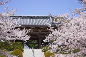 竜宝寺