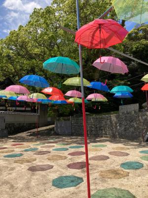 UMBRELLA SKY 2024 01