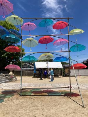 UMBRELLA SKY 2024 02
