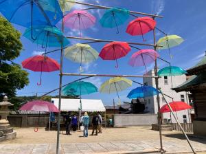 UMBRELLA SKY 2024 03