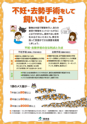 不妊・去勢手術をして飼いましょう
