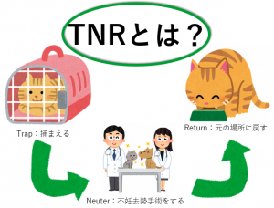 TNRとは