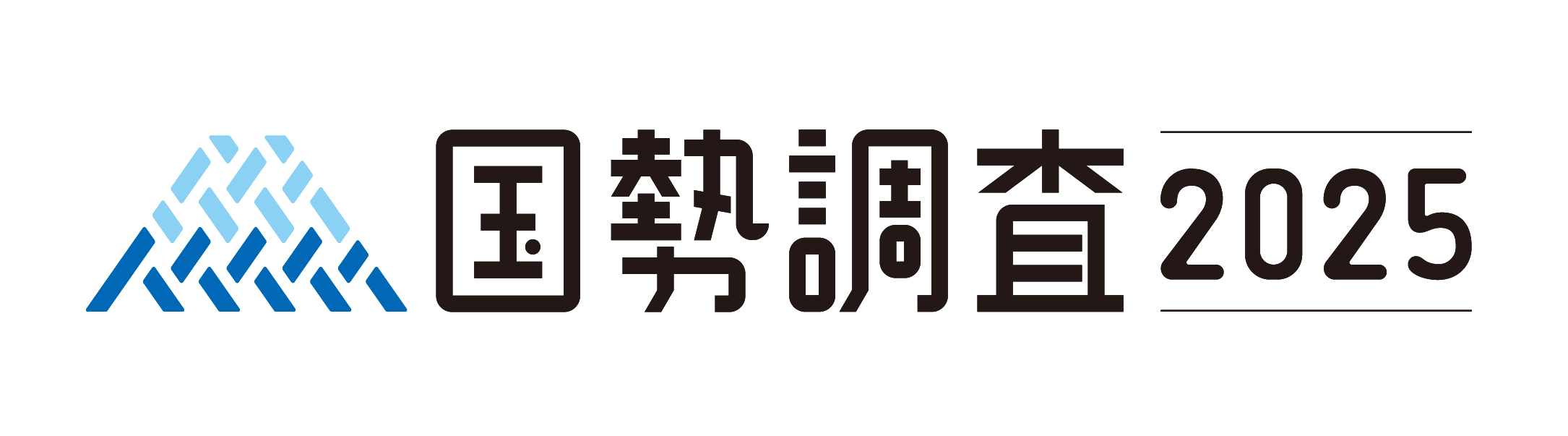 国勢調査２０２５