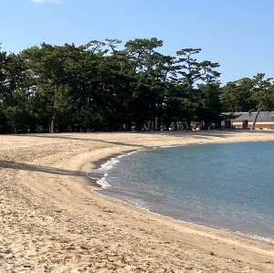 大浜公園