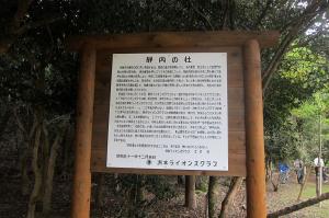 画像③