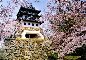 桜と模擬天守